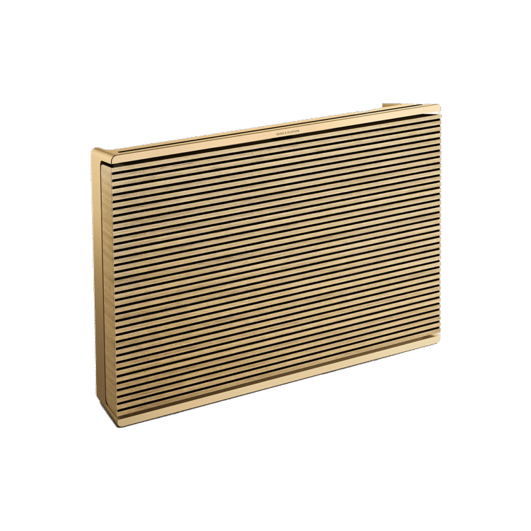 Bang & Olufsen Beosound Level