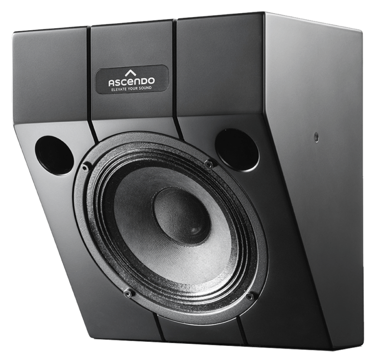 ASCENDO The6 Passive Wedge Speaker