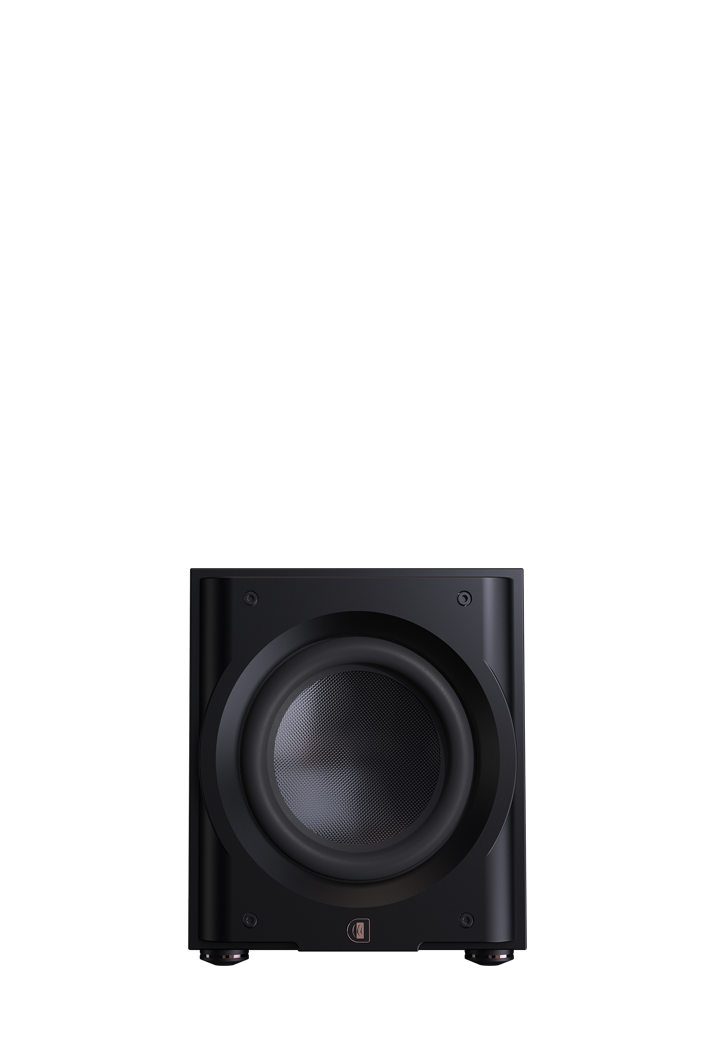 Perlisten R10s