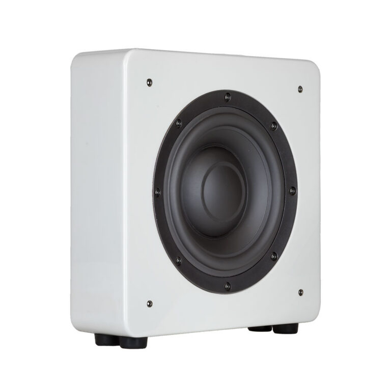 Wisdom Audio S10